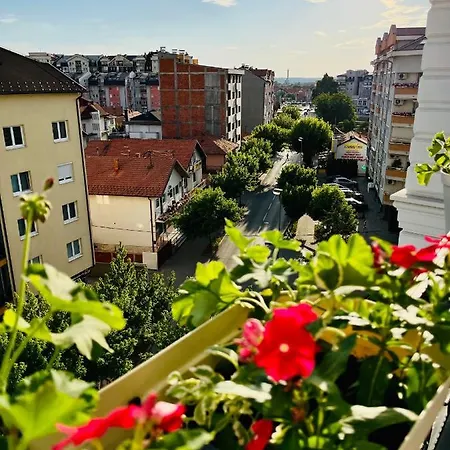 Poppy Bijeljina
